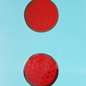 Pegatina/Adhesivo Flor de la Vida Pequeña pla/ro