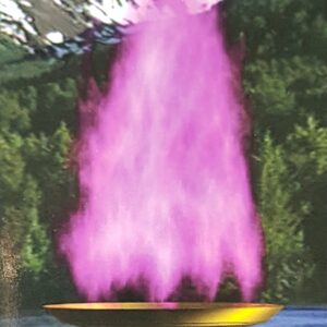 Estampa Caliz Llama Violeta Pequeña 57x86mm