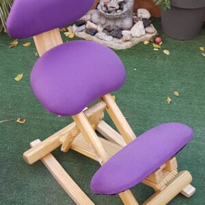 Silla Ergonomica Con Balancin