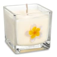 Velon perfumado flor
