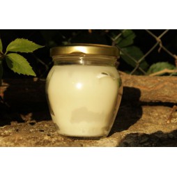 Vela perfumada cera soja 106ml Ruda